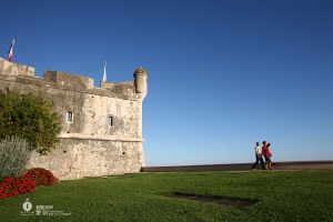法國(九)蒙頓(Menton)