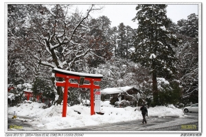 新春東京之旅Day3 by 派翠克