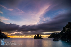 粉鳥林＆羅東林場＆冬山河．龜山島