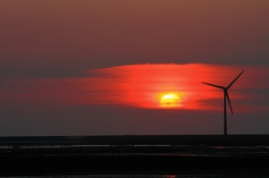 彰化福寶濕地夕照