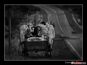 黑白的原住民照片 - Leandro