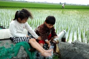 孩子在農村