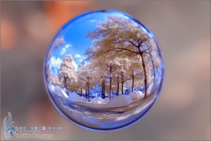 宙玉．玉泉公園 半IR 680