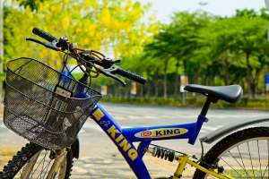 阿勃勒下的單車