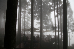 是雲是霧傻傻分不清楚