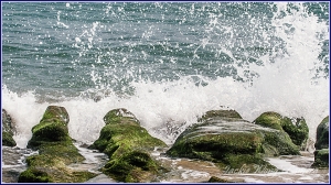 杰克之老梅拍浪