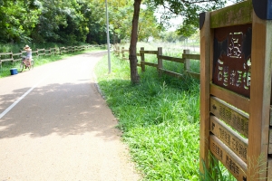 一起騎單車ㄅ...