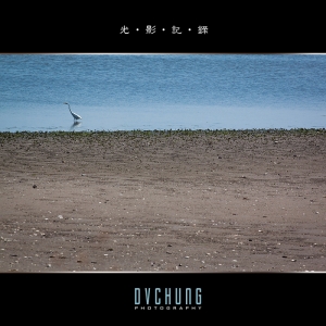 ::: The Birds 菜鳥拍鳥 :::