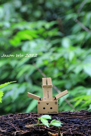 阿楞去探險 part-1