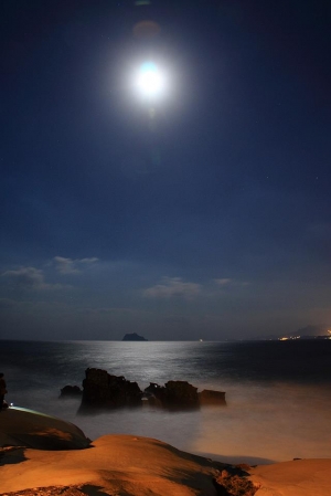 總算讓我親眼看見月光海