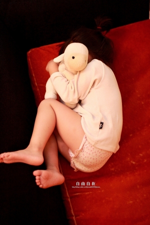 我心愛的家人 2008 2月  (35L)