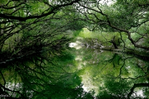 四草隧道~七股井仔腳