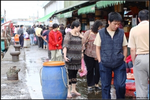 魚