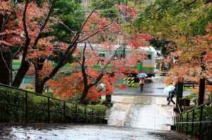 贊仔--東京自由行 之鎌倉