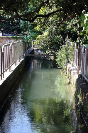 台中 老伯的彩繪天堂 彩虹村