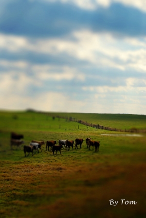 上一些PS移軸模型圖