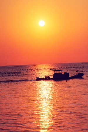 夕陽