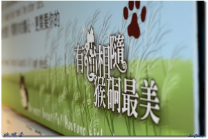 20101011 貓村@侯硐