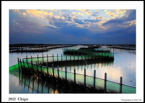 沒出景又如何&nbsp;&nbsp;就是愛七股