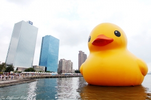 惡搞一下 . 黃色小鴨鴨 .