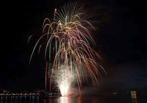 蓮池潭萬年季煙火秀