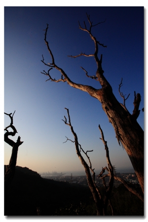 這輩子想要再拍這樣美的照片難了