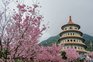 2015年 無極天元宮