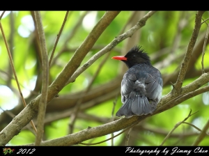 有拍就PO~~好攝客之生態隨拍(3)