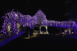 嘉義，蘭潭風景區夜景【一張流】