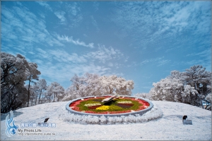 真實‧半IR之間