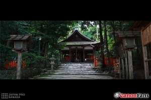 [分享] 京都大田神社 - 五月杜若花開 -