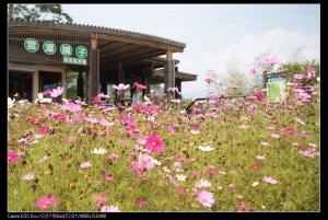 瑞里一日遊~A16旅拍
