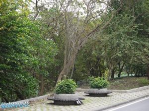 [GF3]:::爬山隨拍~~順手拍