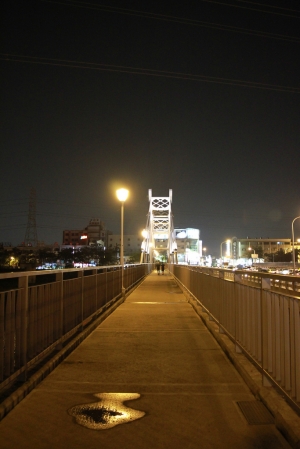 夜裡閃亮亮