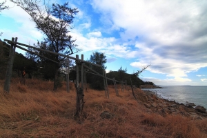 (枋山之約)黑卡實習生