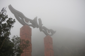 [40D]靈鳩山 迷霧行