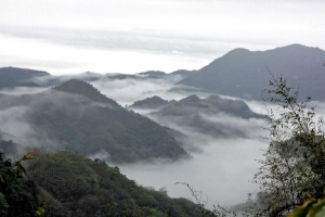 東埔、車埕行春