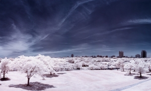 羅東運動公園(IR版)