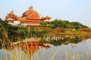 台南四草大眾廟隨拍