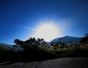 今晚上山打太陽 [第一次搖黑卡]