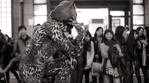 [6D] 賀新家來個"驚喜"