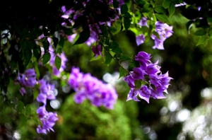 有太陽～出門拍照吧