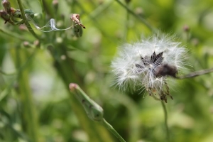 踏入單眼一年了...... 還是新手 仍須努力!!