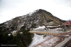 "櫻花LIN"-武陵農場
