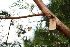 幸福の約定