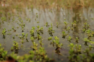 台灣歷史博物館的日與夜