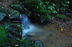 螢光飛舞-雨之螢