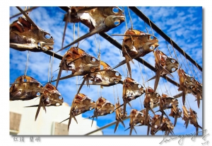 夏天的起點~蘭嶼(3)