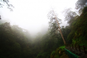 新手拉拉山之旅。