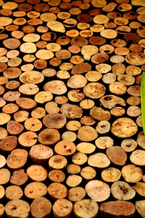 2012 四月份去的綠色博覽會